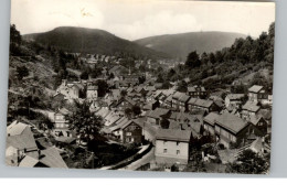 0-5906 RUHLA, Blick Vom Mühltrainstein, 1960 - Bad Salzungen
