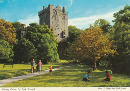 Irlande - Cork - Blarney Castle - Cork