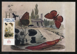 ESPAÑA (2023) Carte Maximum Card Real Sociedad Española Historia Natural Mariposa, Butterfly, Papillon, Schmetterling - Tarjetas Máxima