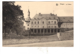 Oteppe Chateau - Burdinne