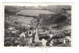 Nessonvaux Eglise Et Panorama - Trooz