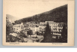 6229 SCHLANGENBAD, Rheingauerstrasse, Verlag Fröhlich - Schlangenbad