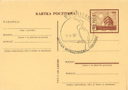 POLONIA POLSKA -  Cartolina Intero Postale -  CORMORANO  KORMORAN - Albatros & Stormvogels