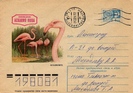 RUSSIA CCCP - Intero Postale - Kraanvogels En Kraanvogelachtigen