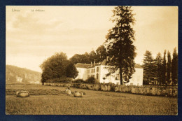 Lives Sur Mesuse ( Namur). Le Châeau Et Le Parc ( XIVème Siècle) - Namur