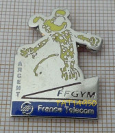 PAT14950 FRANCE TELECOM FFGYM Médaille D' ARGENT  MARSUPILAMI En Version EGF - France Télécom