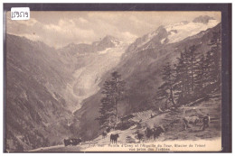 GLACIER DU TRIENT VU DES TZEPPES - VACHES - TB - Trient