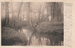 AK Ibbenbüren - Waldpartie An Der Ibbenbürener Aa - 1913 (65519) - Ibbenbüren