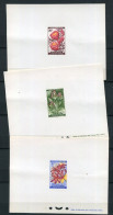 Cote D' Ivoire - EP - PA  - 193 - 194 - 195 - 196 - 197 - 198  Fleurs Diverses - Niger (1960-...)