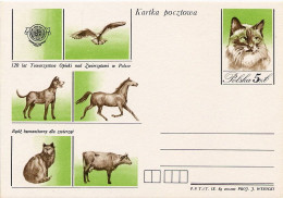 POLONIA POLSKA -  Cartolina Intero Postale -  CAT - HORSE - COW - DOG - Chats Domestiques