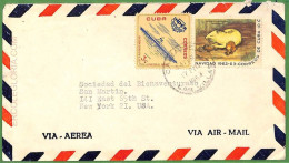 Af3707 - HABANA - POSTAL HISTORY - AIRMAIL COVER -  ROWING Canoes - 1984 - Canoë