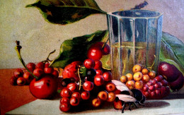 Cpa Gaufrée NATURE MORTE AUX FRUITS ROUGES ET MOUCHE . 1911 .  STILL LIFE WITH A FLY  EMBOSSED OLD PC - Piante Medicinali