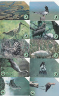 Poland, 0931, 949 - 953 And 974 - 977, Birds Of Biebrzanski National Park, 10 Cards, 2 Scans - Pologne