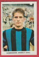 Figurina Calciatori, Anni '60 - Campionato Italiano ( Vintage ) - Domenghini Angelo / Inter Milan - Trading Cards