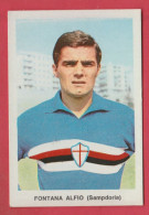 Figurina Calciatori, Anni '60 - Campionato Italiano ( Vintage ) - Fontana Alfio / Sampdoria - Trading Cards