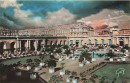 FRANCE - Versailles - Le Château - Colorisé - Carte Postale Ancienne - Versailles