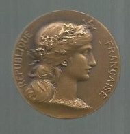 Jeton, Bronze, 8.35 Gr., Dia. 27 Mm, Caisse D'Epargne De Fontenay Le Comte, Graveurs: D. Dupuis, H. Dubois - Professionals / Firms