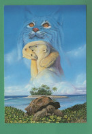 Les Iles Fortunées Bruno Altayer ( Tortue, Ours, Chat ) Editions Chant Des Toiles 24 Plazac - Tortues