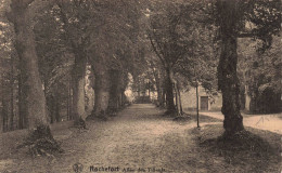 BELGIQUE - Rochefort - Allée Des Tilleuls - Carte Postale Ancienne - Rochefort