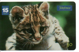 Léopard Chat Cat Katze Télécarte Brésil Phonecard ( 1149) - Brésil