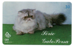 Chat Cat Katze Télécarte Brésil Phonecard ( 1153) - Brésil