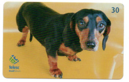 Chien Basset  Dog  Télécarte Brésil Phonecard ( 1155) - Brésil