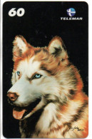 Chien Husky Sibérie  Dog  Télécarte Brésil Phonecard ( 1158) - Brésil