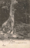 BELGIQUE - Aux Environs De La Roche - Le Christ à L'Ermitage De St Thibaut - Carte Postale Ancienne - La-Roche-en-Ardenne