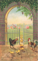 ANIMAUX & FAUNE - Coq - Poule - Poussins - Colorisé - Carte Postale Ancienne - Andere & Zonder Classificatie