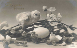 FÊTES ET VOEUX - Pâques - Un Poussin Sorti D'un œuf  Sur Un Bouquet De Fleur - Carte Postale Ancienne - Pascua