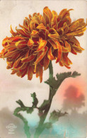 FLEURS - Fleur - Colorisé - Carte Postale Ancienne - Flowers