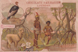 Chromo Colombie Indios Indiens  Condor  Pub Chocolat Pailhasson Lourdes - Colombie