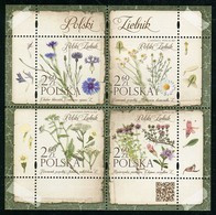 Poland 2017 Polish Herbarium Cornflower Common Chamomile Yarrow And Sand Thyme Herbs MNH** - Nuevos