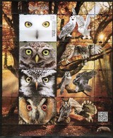 Poland 2017  MI 269 Polish Birds Owls Mini Sheet Ful Of Set MNH** - Unused Stamps