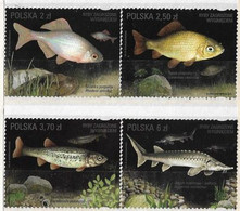 2016 Poland Mi 4861-4 Fish Threatened With Extinction Atlantic Sturgeon, Common Roses, Crucian Carp, Lake Minnow MNH** - Unused Stamps