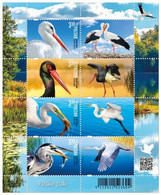 Poland 2020  Polish Birds White Black Stork Ciconia Heron Ardea Minii Sheet MNH** New! - Unused Stamps