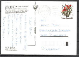 MiNr. 3040; Gartenblumen; Auf Karte Nach Deutschland; B-1070 - Briefe U. Dokumente