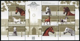 Poland 2017 200 Years Of Janow Podlaski Stud Arabian Horses Full Of Set MNH** - Unused Stamps