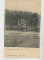 L'ISLE SUR LE DOUBS - Le Château De M. E. MEINER - Isle Sur Le Doubs