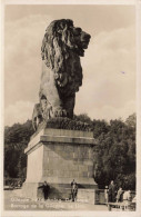 BELGIQUE - Gileppe - Barrage De La Gileppe - Le Lion - Carte Postale Ancienne - Gileppe (Dam)