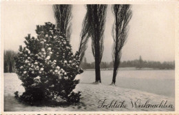 FÊTES ET VOEUX - Fröliche Weihnachten - Carte Postale Ancienne - Andere & Zonder Classificatie