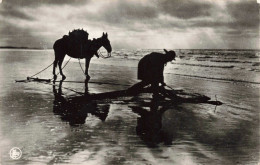 PHOTOGRAPHIE - Pêcheur De Crevettes - Plage - Âne - Carte Postale - Fotografie