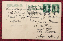 Suisse, Entier-Carte Cachet Genève 6.7.1917 - (C108) - Stamped Stationery