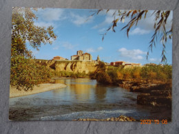 CARRION DE LOS CONDES - Palencia