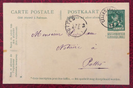 Belgique, Entier-Carte, Cachet Celles 27.8.1913 - (C269) - Autres & Non Classés