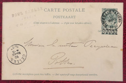 Belgique, Entier-Carte, Cachet Tournai 10.3.1897 - (C280) - Other & Unclassified