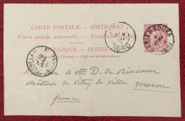 Belgique, Entier-Carte (pli), Cachet Mariembourg 8.1.1891 - (C291) - Otros & Sin Clasificación