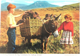 Carte Postale : Irlande : Collecting Turf From The Bog, CONNEMARA, Co. Galway - Autres & Non Classés