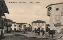 MACEDO DE CAVALEIROS - Praça Central - PORTUGAL - Bragança