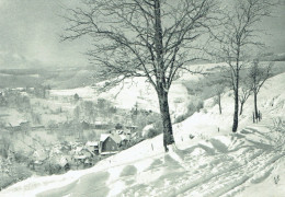 Winter LAUSCHA - Affr Philatélique - Lauscha